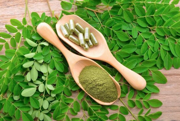 manfaat dan fakta daun kelor