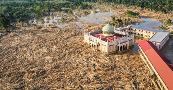 Banjir Tanpa Sebab, Kayu Tanpa Asal: Ketika Negara Menyangkal Jejak di Hulu