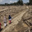 Lautan Kayu Gelondongan Tertahan di Bangunan Pesantren