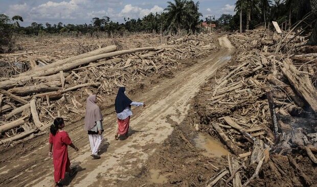 Lautan Kayu Gelondongan Tertahan di Bangunan Pesantren
