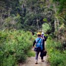 Layanan Internet Batang Toru Segera Pulih, PLN Icon Plus Kebut Perbaikan