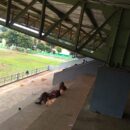 Stadion Mini Mustika Jaya, Ruang Publik Sederhana yang Menghidupkan Kebersamaan Warga Bekasi